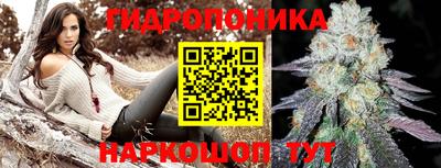 jwh Кандалакша