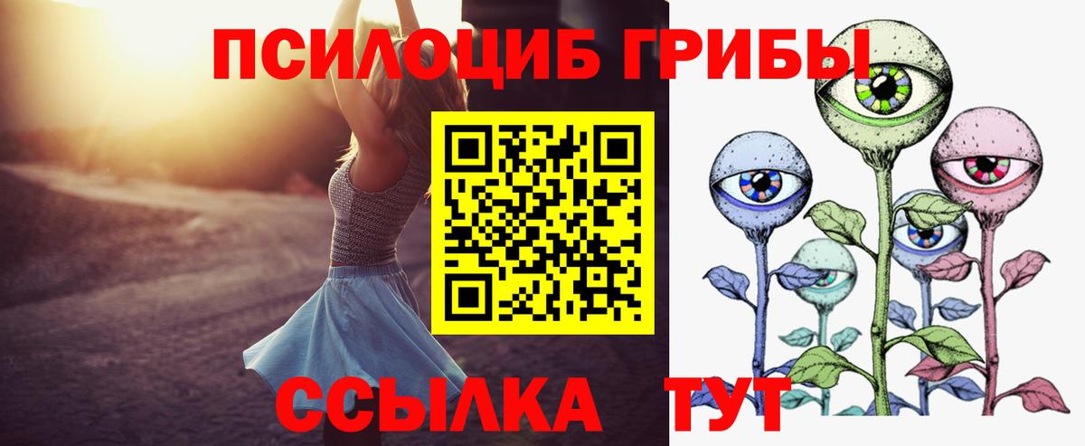 Галлюциногенные грибы Psilocybe Курчалой