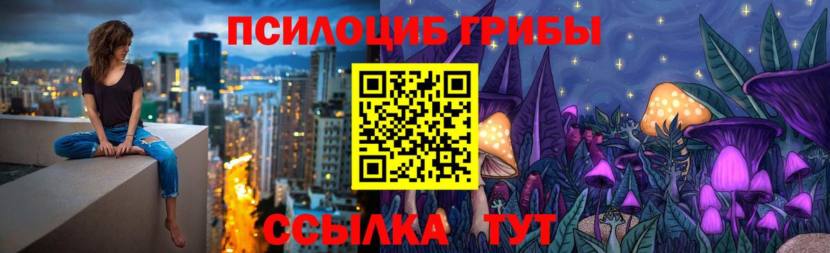 Псилоцибиновые грибы Psilocybine cubensis  Вход с VPN  где купить наркоту  Псилоцибиновые грибы Psilocybine cubensis  Курчалой 